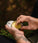 Mr. Bear Family beard balm - Citrus (60 ml) - Hair Growth Specialist